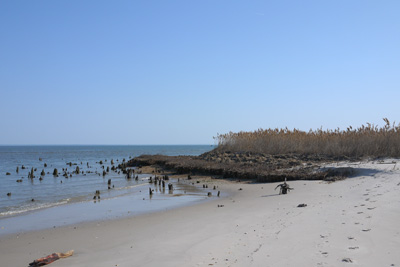 end of beach